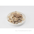 Mushroom de ostra gris congelado-300g